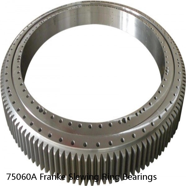 75060A Franke Slewing Ring Bearings