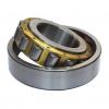 1.181 Inch | 30 Millimeter x 2.441 Inch | 62 Millimeter x 0.787 Inch | 20 Millimeter  SKF NUP 2206 ECP/C3  Cylindrical Roller Bearings