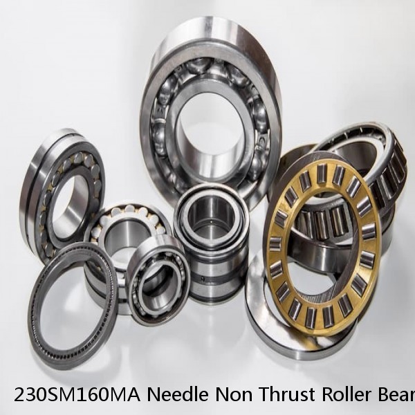 230SM160MA Needle Non Thrust Roller Bearings #1 small image