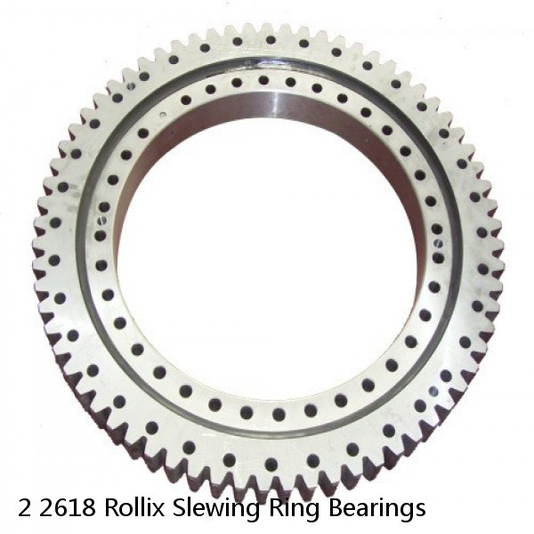 2 2618 Rollix Slewing Ring Bearings #1 small image