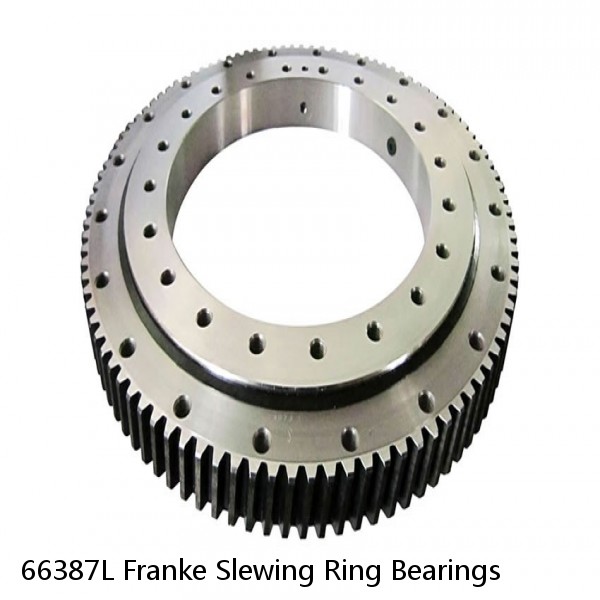 66387L Franke Slewing Ring Bearings #1 small image