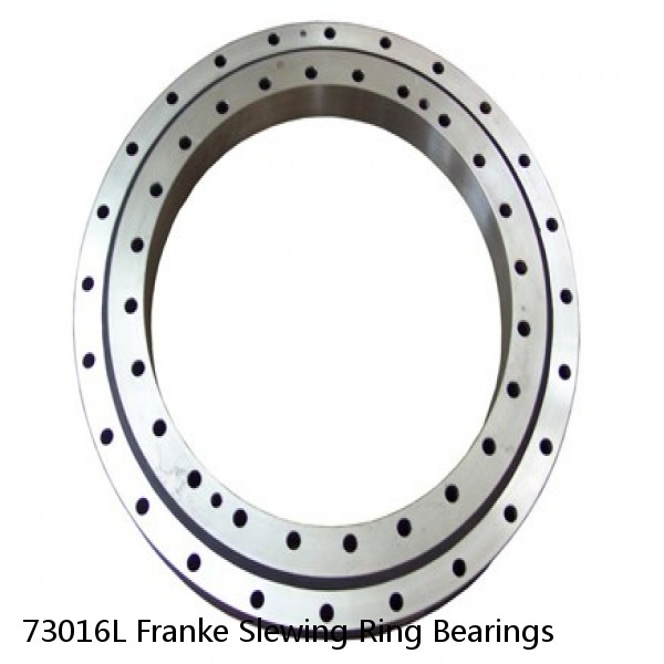 73016L Franke Slewing Ring Bearings #1 small image