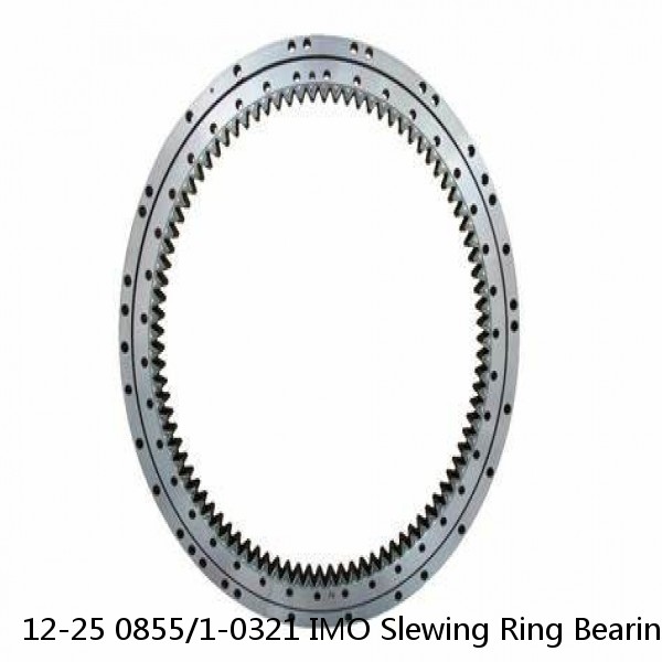 12-25 0855/1-0321 IMO Slewing Ring Bearings #1 small image