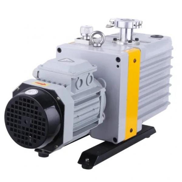 Vickers PV020R1K1T1NFR1 Piston pump PV #2 image