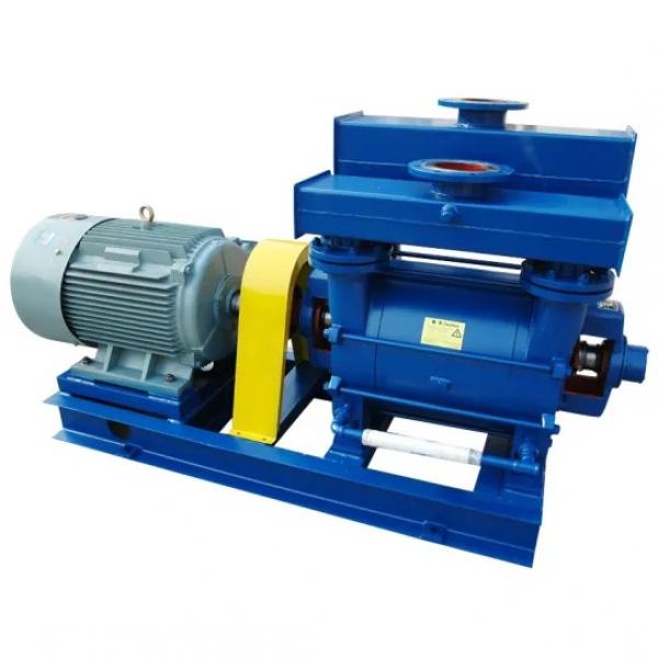 Vickers PV080R1K1B1NSLB Piston pump PV #1 image