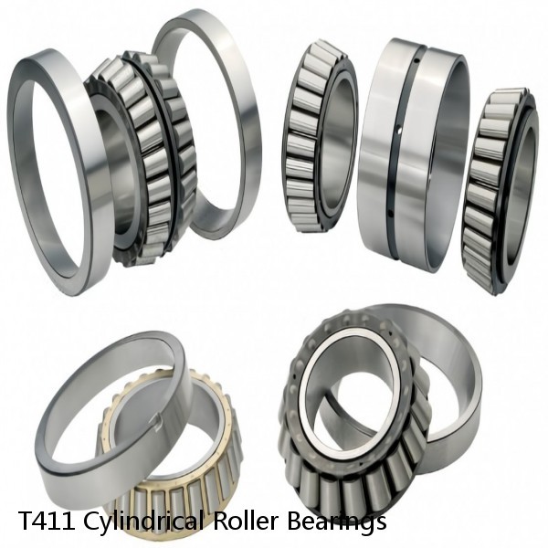 T411 Cylindrical Roller Bearings #1 image