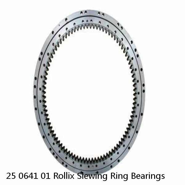 25 0641 01 Rollix Slewing Ring Bearings #1 image