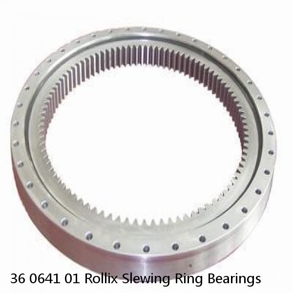 36 0641 01 Rollix Slewing Ring Bearings #1 image