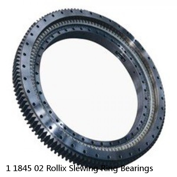 1 1845 02 Rollix Slewing Ring Bearings #1 image