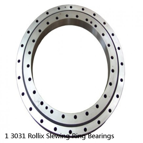 1 3031 Rollix Slewing Ring Bearings #1 image