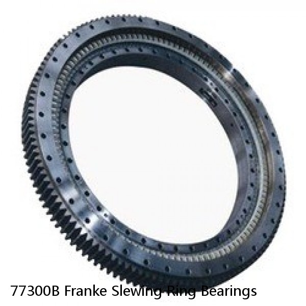 77300B Franke Slewing Ring Bearings #1 image