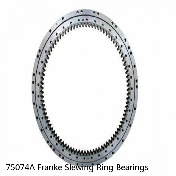75074A Franke Slewing Ring Bearings #1 image