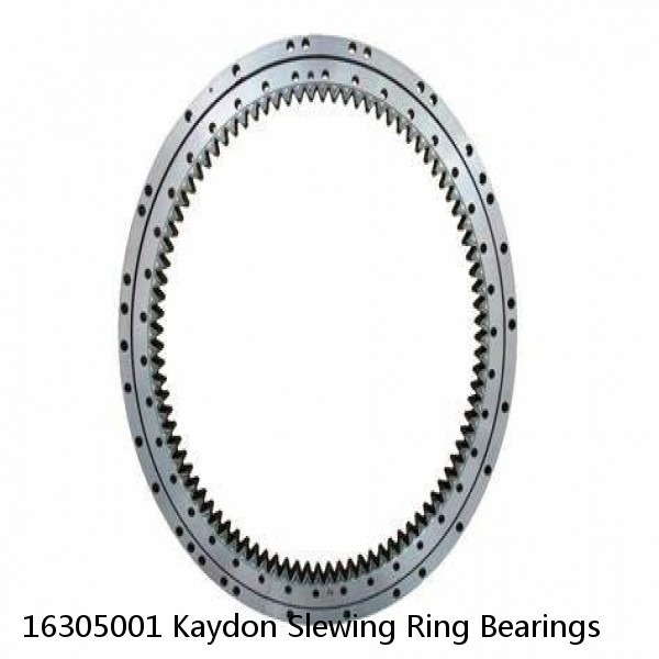 16305001 Kaydon Slewing Ring Bearings #1 image